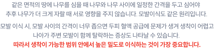 같은 면적의 땅에 나무를 심을 때 나무와 나무 사이에 일정한 간격을 두고 심어야 
					추후 나무가 더 크게 자랄 때 서로 영향을 주지 않습니다. 모발이식도 같은 원리입니다. 모발 이식 시, 모발 사이의 간격이 너무 좁으면 두피 혈액 공급에 문제가 생겨 생착이 어렵고
					나아가 주변 모발이 함께 탈락하는 증상도 나타날 수 있습니다. 따라서 생착이 가능한 범위 안에서 높은 밀도로 이식하는 것이 가장 중요합니다.