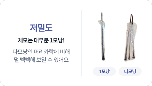 [저밀도] 체모는 대부분 1모낭! / 다모낭인 머리카락에 비해 덜 빽빽해 보일 수 있어요