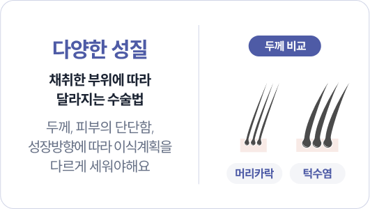 [다양한 성질] 체취한 부위에 따라 달라지는 수술법 / 두께, 피부의 단단함, 성장방향에 따라 이식계획을 다르게 세워야해요